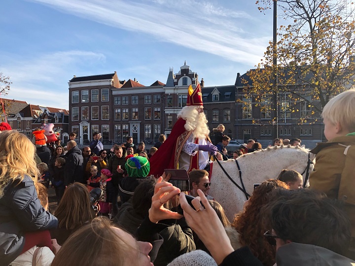 Sinterklaas intocht 2021, paard Amerigo