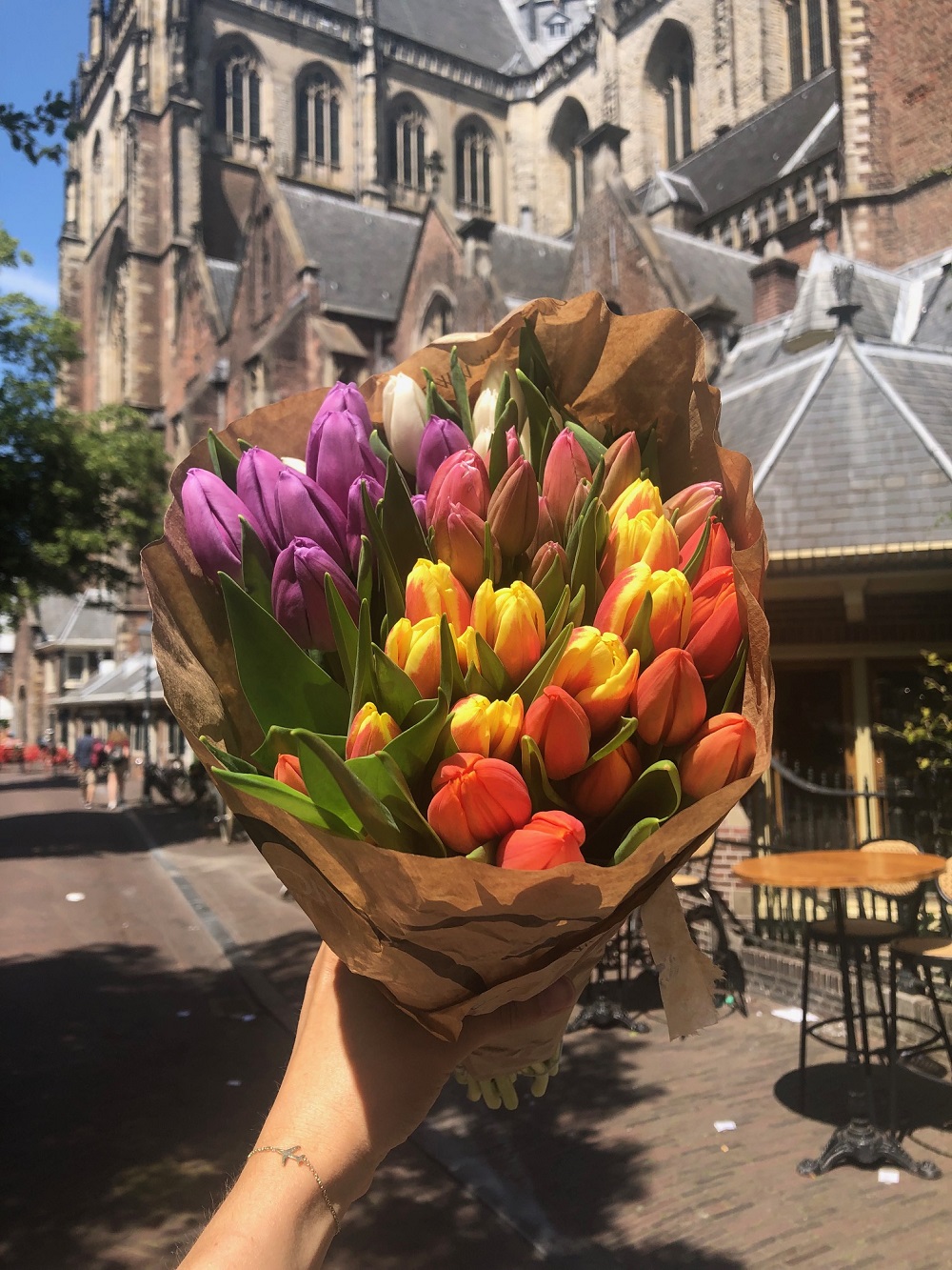 Bus Haarlem - Keukenhof