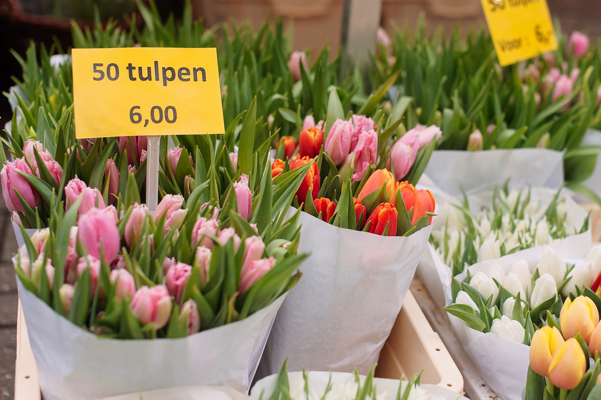 Flowermarket (Bloemenmarkt) Amsterdam, Things to do in Amsterdam, photo: Kristina Kutena