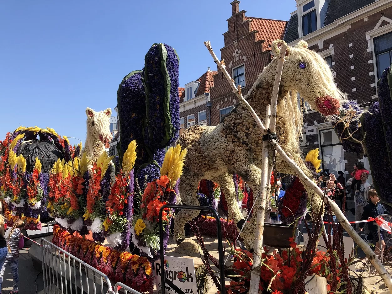 Dutch Flower parade 2025