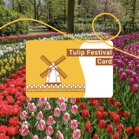 Tulip festival card