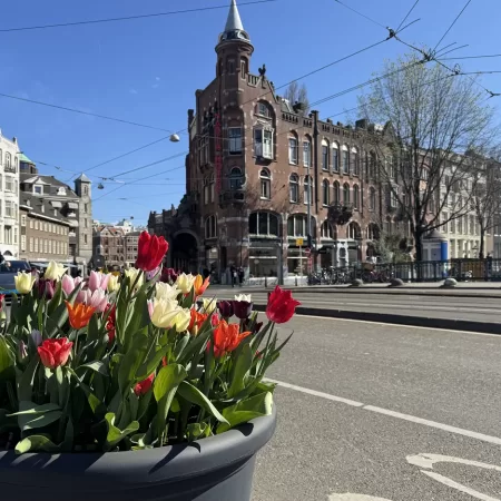 Amsterdam tulip festival